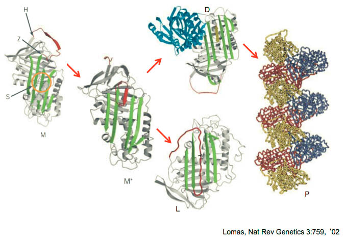 figure 1 figure 1