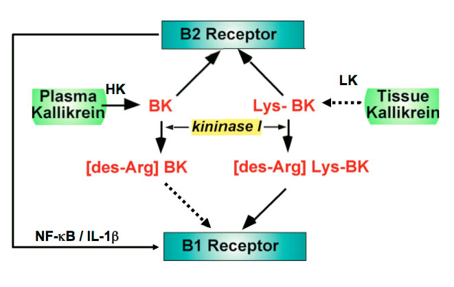 figure 3 figure 3